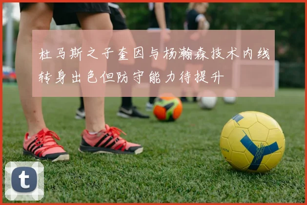 杜马斯之子奎因与杨瀚森技术内线转身出色但防守能力待提升